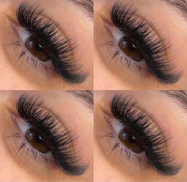 Volume Lashes